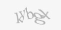 Қорғаныс коды